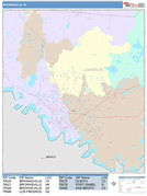 Brownsville Digital Map Color Cast Style