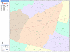 Irvington Digital Map Color Cast Style