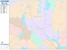 Medford Digital Map Color Cast Style