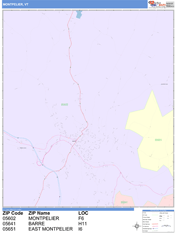 Montpelier Digital Map Color Cast Style