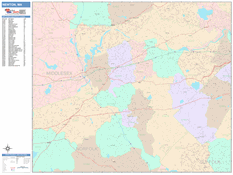 Newton Digital Map Color Cast Style