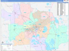 Alachua County, FL Digital Map Color Cast Style