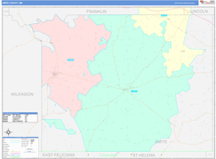 Amite County, MS Digital Map Color Cast Style