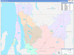 Antrim County, MI Digital Map Color Cast Style