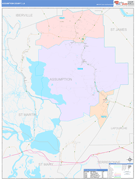 Assumption Parish (County), LA Digital Map Color Cast Style