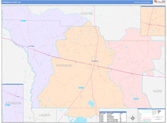 Atkinson County, GA Digital Map Color Cast Style