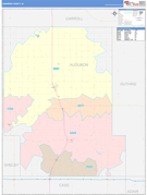 Audubon County, IA Digital Map Color Cast Style