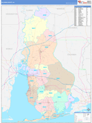 Baldwin County, AL Digital Map Color Cast Style