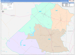 Barnwell County, SC Digital Map Color Cast Style