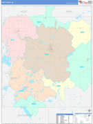 Barry County, MI Digital Map Color Cast Style