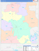 Barry County, MO Digital Map Color Cast Style