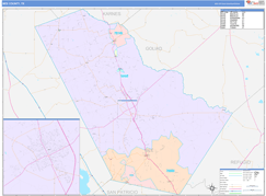 Bee County, TX Digital Map Color Cast Style