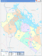 Belknap County, NH Digital Map Color Cast Style