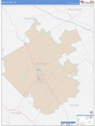 Bleckley County, GA Digital Map Color Cast Style