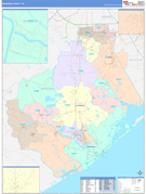 Brazoria County, TX Digital Map Color Cast Style