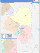 Brazos County, TX Digital Map Color Cast Style