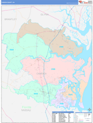Camden County, GA Digital Map Color Cast Style