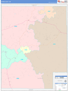Catron County, NM Digital Map Color Cast Style