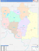 Chariton County, MO Digital Map Color Cast Style