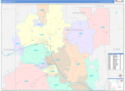 Chemung County, NY Digital Map Color Cast Style