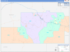 Cibola County, NM Digital Map Color Cast Style