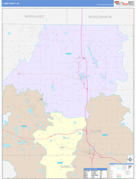 Clare County, MI Digital Map Color Cast Style