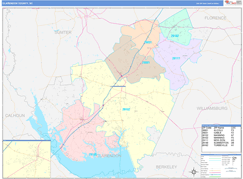 Clarendon County, SC Digital Map Color Cast Style