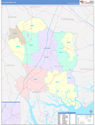 Colleton County, SC Digital Map Color Cast Style
