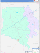 Davie County, NC Digital Map Color Cast Style