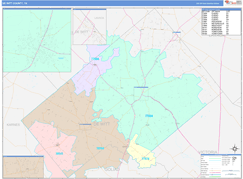 DeWitt County, TX Digital Map Color Cast Style