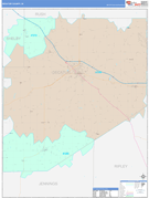 Decatur County, IN Digital Map Color Cast Style