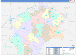 Delaware County, NY Digital Map Color Cast Style