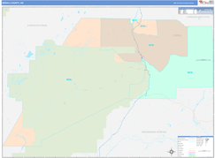 Denali Borough (County), AK Digital Map Color Cast Style