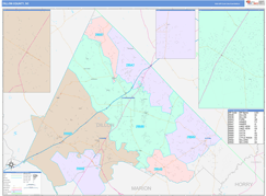 Dillon County, SC Digital Map Color Cast Style