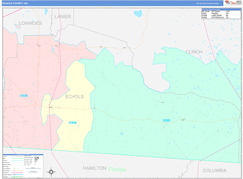Echols County, GA Digital Map Color Cast Style