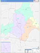 Emanuel County, GA Digital Map Color Cast Style