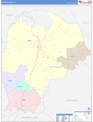 Fentress County, TN Digital Map Color Cast Style