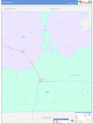 Floyd County, TX Digital Map Color Cast Style