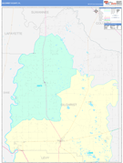 Gilchrist County, FL Digital Map Color Cast Style
