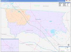 Hamilton County, FL Digital Map Color Cast Style