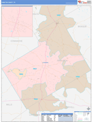 Hamilton County, TX Digital Map Color Cast Style