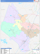 Hays County, TX Digital Map Color Cast Style