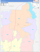 Henry County, AL Digital Map Color Cast Style