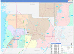 Hernando County, FL Digital Map Color Cast Style