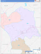 Hoke County, NC Digital Map Color Cast Style