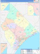 Horry County, SC Digital Map Color Cast Style