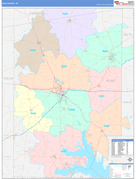 Hunt County, TX Digital Map Color Cast Style