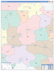 Ionia County, MI Digital Map Color Cast Style