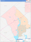 Jackson County, TX Digital Map Color Cast Style