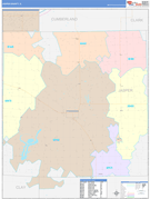Jasper County, IL Digital Map Color Cast Style